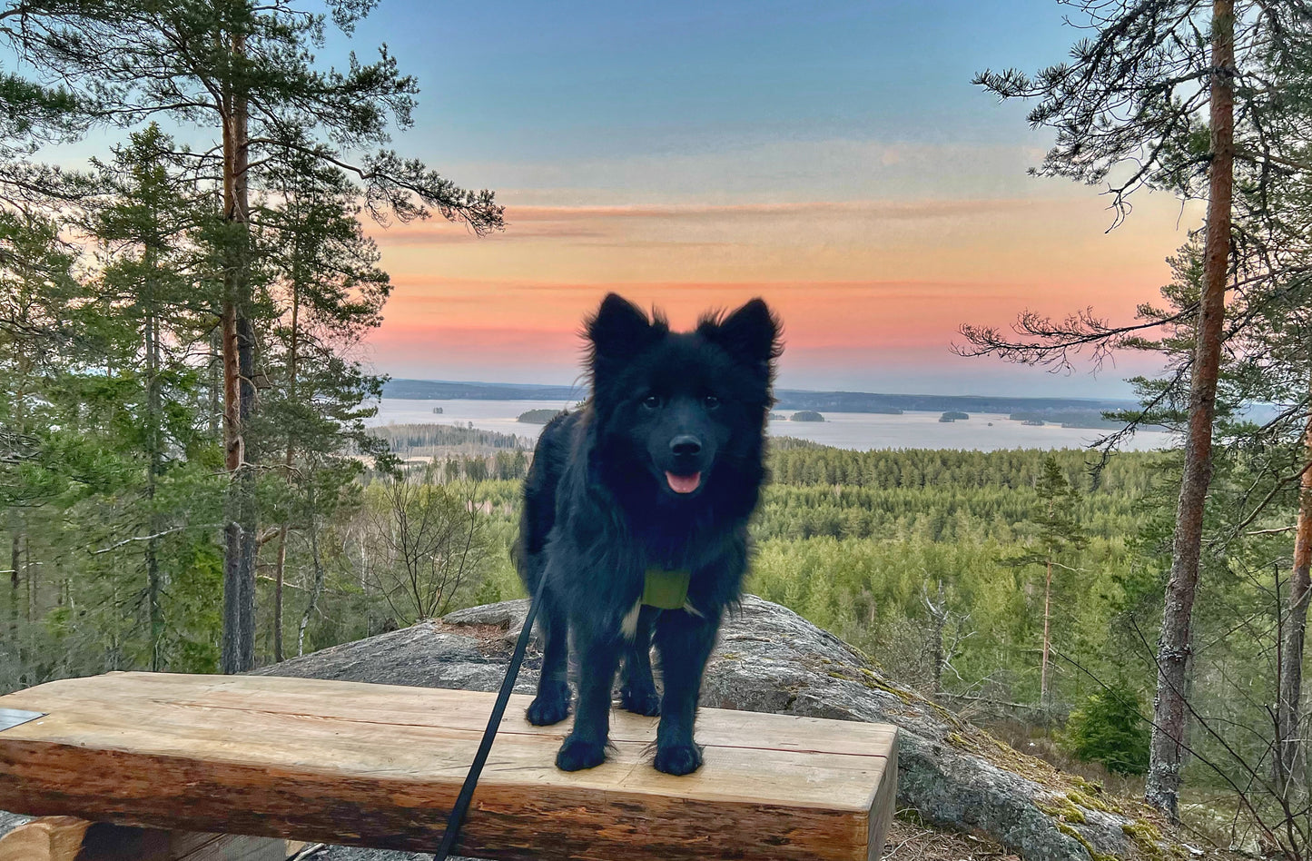 Äventyrspromenad med bergstema & friskvård