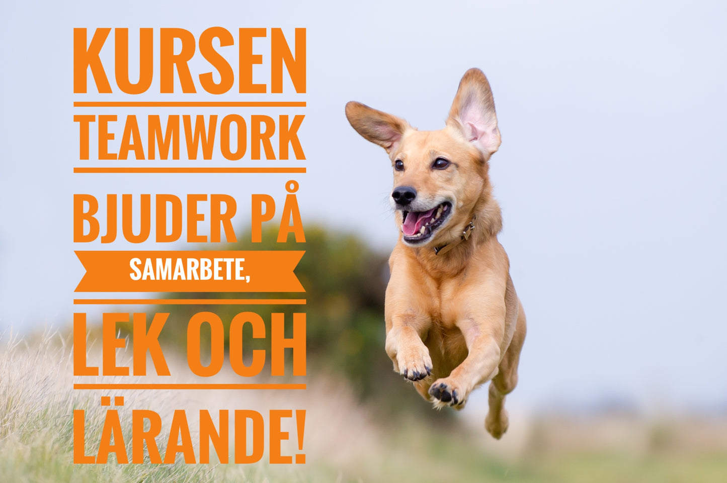 Teamwork - ny kursstart i januari