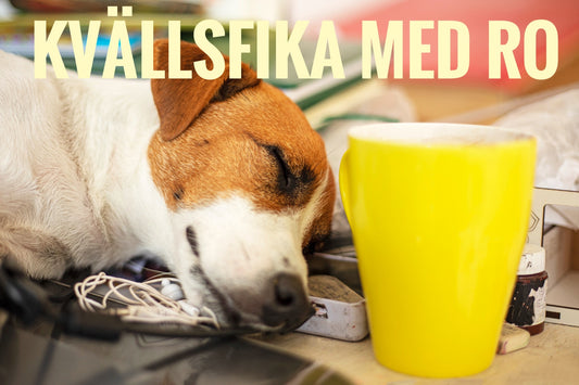 Kvällsfika med ro