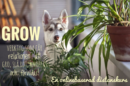 Grow - relation och kommunikation