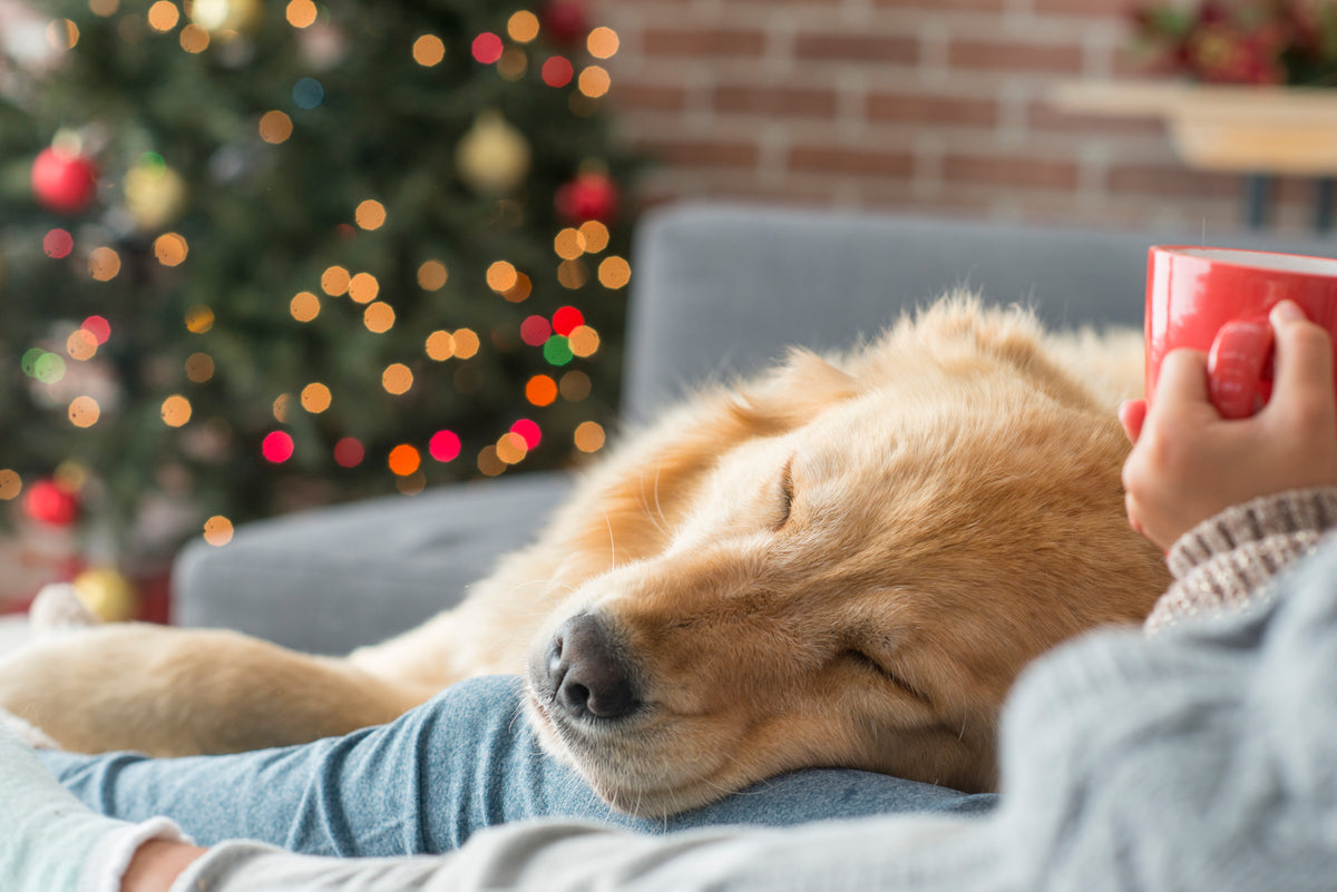 Mindful advent - inomhus - start 26/11